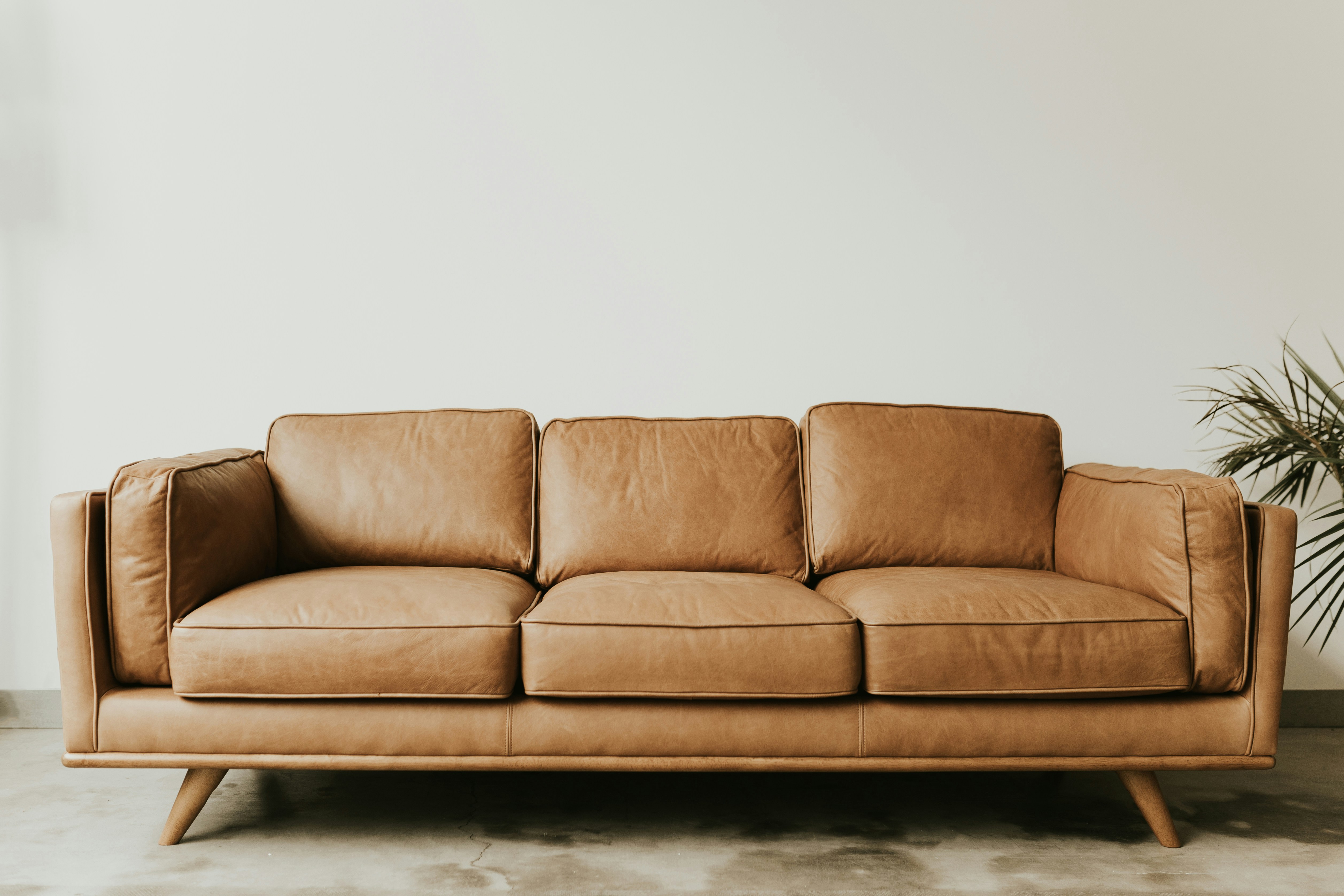 Brown Leather Sofa